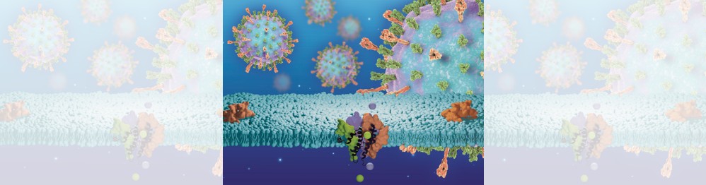 Ion Transport through the SARS-CoV-2 E Protein Ion Channel